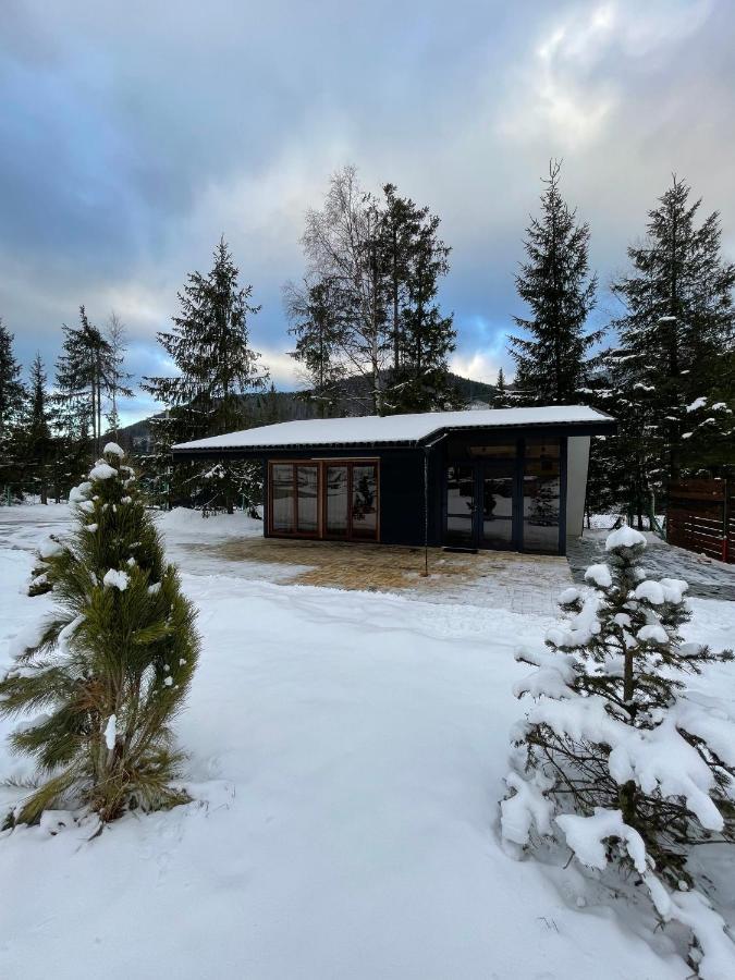 Yozefstal Villa Myslovka Exteriör bild